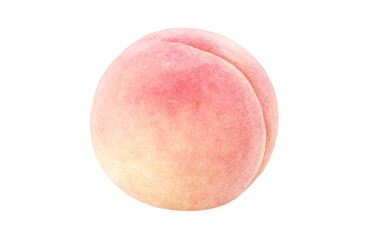 桃 イラスト 水彩 白桃