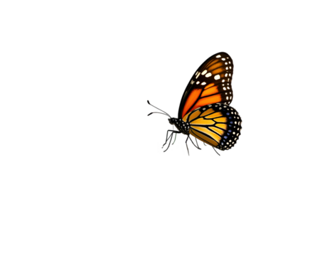 Captivating monarch butterfly gracefully perched upon an old tree trunk in an open field, capturing the essence of nature's beauty and delicate ecological balance