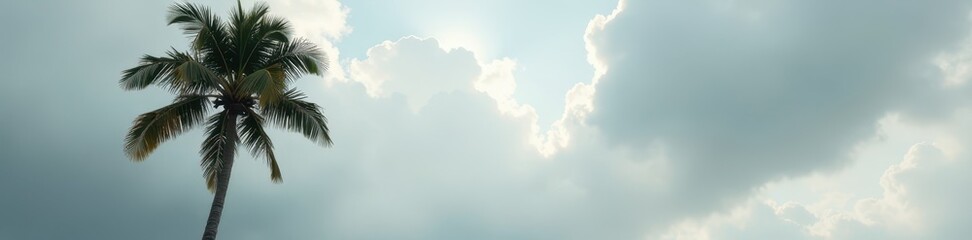 Tall palm tree against a cloudy gray backdrop , eco, vertical