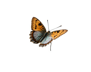 Obraz premium Captivating silverwashed fritillary butterfly resting gracefully on a leaf, isolated to accentuate its detailed patterns and vibrant colors against a clean backdrop