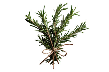Fototapeta premium Delicate bundle of fresh rosemary sprigs tied with natural twine, showcasing aromatic herbs against a plain background for culinary and wellness applications