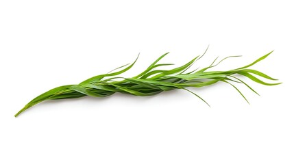 Fototapeta premium Lush grassy turf illustration fresh blades realistic lawn section vibrant nature concept clean landscaping sample picture