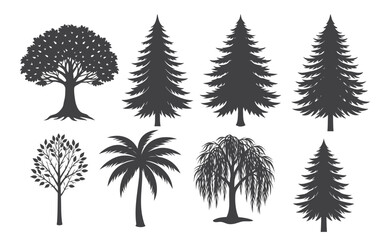 Fototapeta premium set of trees vector illustration on white background, bundle of 8 trees. 