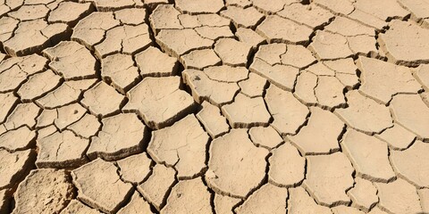 Cracked Earth: Intricate patterns of drought-cracked earth, a testament to the harshness of nature, evoking feelings of resilience.