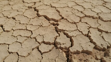 Dried Earth's Anguish: The arid earth bears a mosaic of cracks, a stark testament to drought, evoking the urgent need for water conservation in a world grappling with climate change.