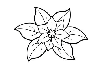 Jasmine Dreams A Journey Through Fragrance and Peace