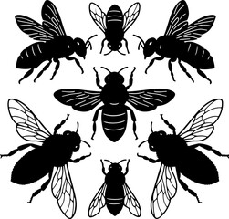 collections of bees silhouettes vector illustration