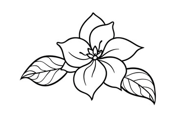 Jasmine Dreams A Journey Through Fragrance and Peace