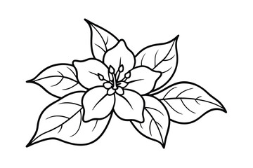 Jasmine Dreams A Journey Through Fragrance and Peace