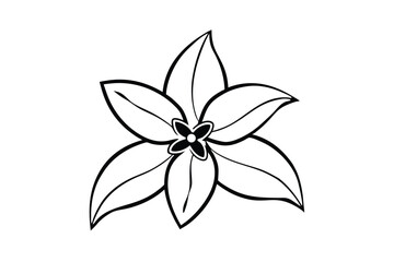 Jasmine Dreams A Journey Through Fragrance and Peace