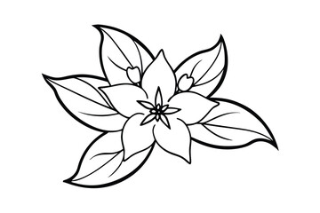 Jasmine Dreams A Journey Through Fragrance and Peace