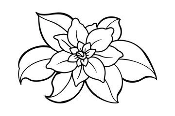 Jasmine Dreams A Journey Through Fragrance and Peace