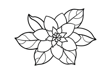 Jasmine Dreams A Journey Through Fragrance and Peace