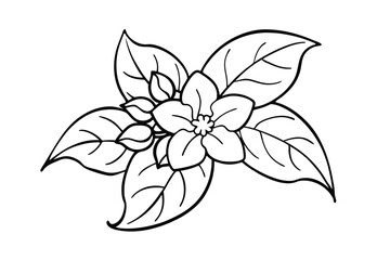 Jasmine Dreams A Journey Through Fragrance and Peace