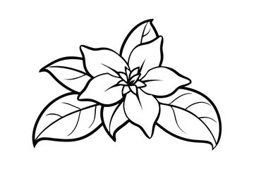 Jasmine Dreams A Journey Through Fragrance and Peace