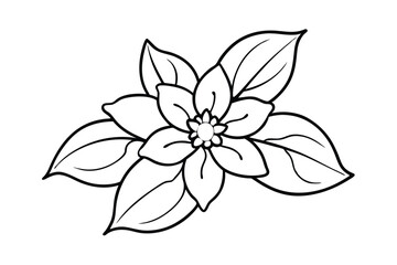 Jasmine Dreams A Journey Through Fragrance and Peace