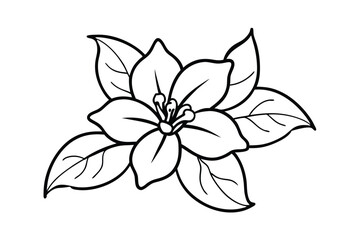 Jasmine Dreams A Journey Through Fragrance and Peace