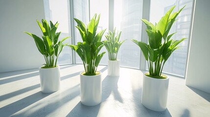 Fototapeta premium office with panoramic windows, soft shadows and sunlight hitting tall indoor plants, minimalist illustration with calming colors and natural elements corner office panoramic windows indoor plants 