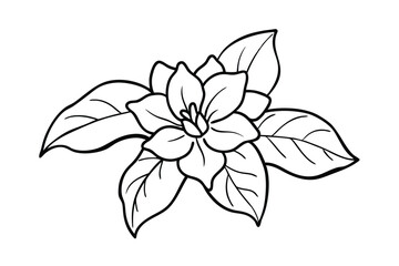 Jasmine Dreams A Journey Through Fragrance and Peace