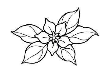 Jasmine Dreams A Journey Through Fragrance and Peace