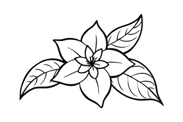 Jasmine Dreams A Journey Through Fragrance and Peace