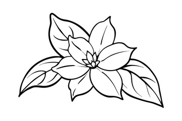 Jasmine Dreams A Journey Through Fragrance and Peace