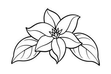 Jasmine Dreams A Journey Through Fragrance and Peace