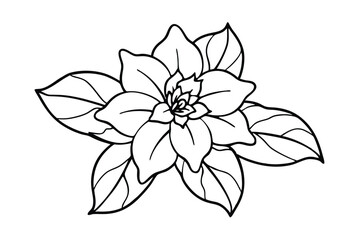 Jasmine Dreams A Journey Through Fragrance and Peace