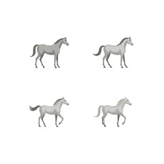 Set of Pony Horse Icon Equestrian Mane Mare Stallion Mammal Domestic Wildlife Riding Racing Animal Vector Illustration