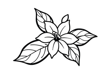 Jasmine Dreams A Journey Through Fragrance and Peace