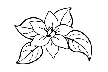 Jasmine Dreams A Journey Through Fragrance and Peace