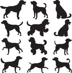 Dog silhouettes, standing, sitting, barking, paw up, playing, running, labrador, poodle, chihuahua, vector pack
