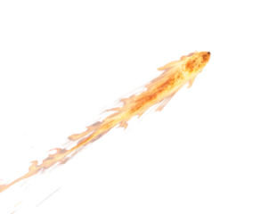 Dramatic depiction of a fiery meteor with a vibrant flame tail streaking across an isolated plain, showcasing dynamic energy and cosmic phenomena in a vivid and captivating manner