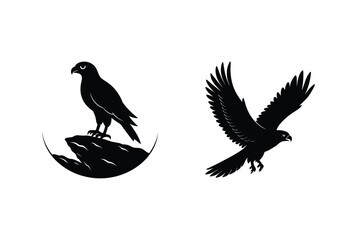 Silhouette Eagle Soaring And Perched On Rock Cliff Bird Graphic Wildlife