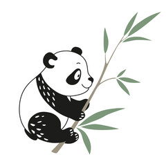 Panda drawing isolated on white background. Baby bear with bamboo. Vector illustration with animals in cartoon style. Cute wild character for kids books illustrating, zoo.