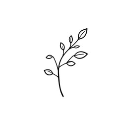 Minimalist line art drawing of a botanical branch with leaves for design element and decoration use