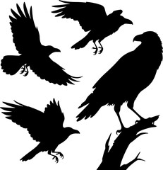collections of crows silhouettes vector design
