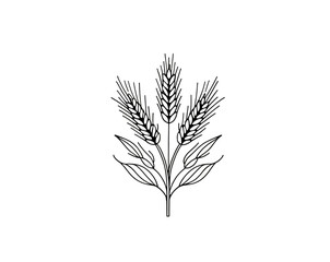Fototapeta premium Elegant organic wheat line art illustration showcasing a simplistic yet detailed depiction, perfect for designs requiring a touch of nature and minimalist aesthetics