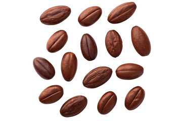 Raw Cocoa Beans Spread on White Background