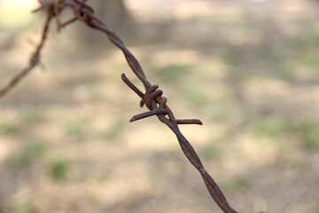 Old, rusty and damaged barbed wire.