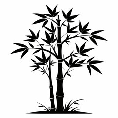 bamboo vector silhouette on white background