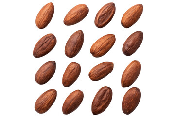 Raw Cocoa Beans Spread on White Background