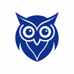 owl on white background