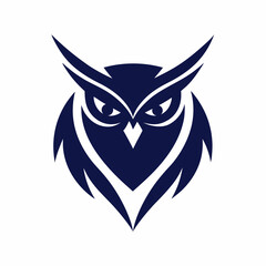 owl on white background