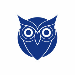 owl on white background