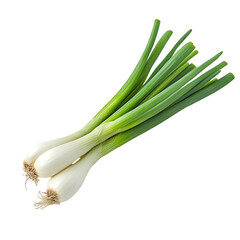 Fresh green onion isolated on white background