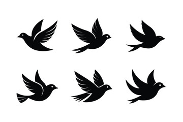 Fototapeta premium Flying Birds Silhouette with Modern Look