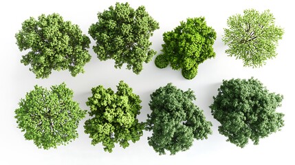 Obraz premium Aerial view tree top collection 3D landscaping variety leaf structure organic canopy design elements image