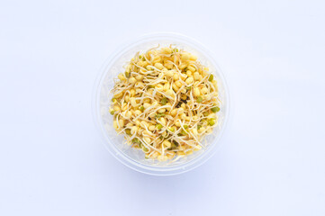 close up of sprouts on white background