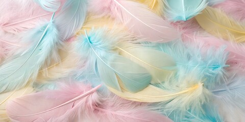 Obraz premium pastel colour feather abstract background